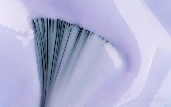 Brand Consulting & Market Insight