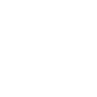 Vegan and cruelty-free options